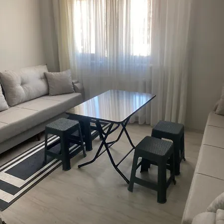 Theistanbulnest Appartement