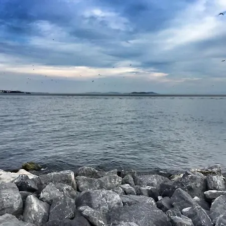 Daire Theistanbulnest İstanbul