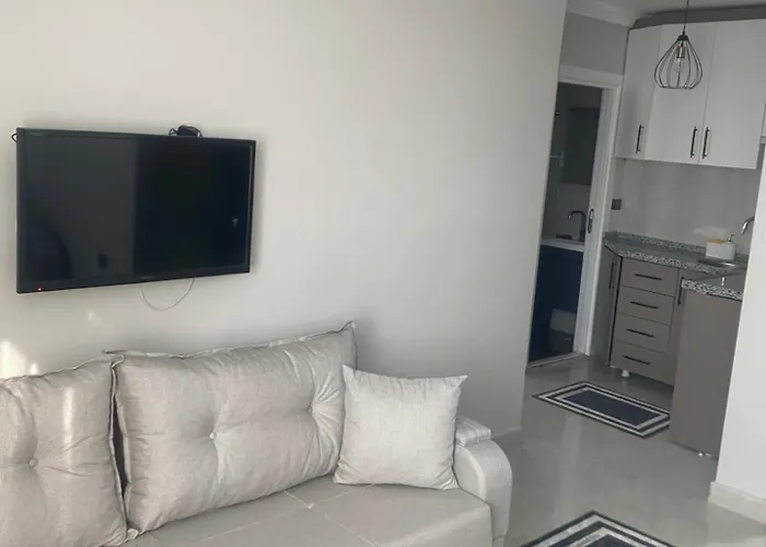 Theistanbulnest Apartment